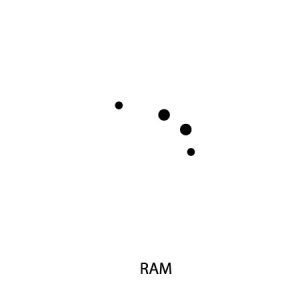 Micro-tattoo sterrenbeeld RAM