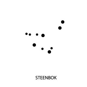 Micro-tattoo sterrenbeeld STEENBOK