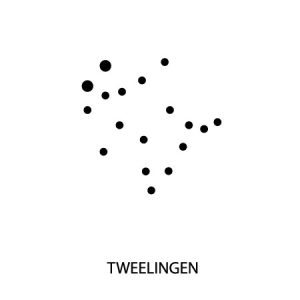 Micro-tattoo sterrenbeeld TWEELINGEN