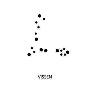 Micro-tattoo sterrenbeeld VISSEN